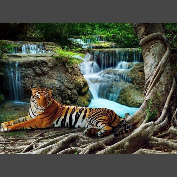 Tiger Diamond Painting Diamant Malerei 4SA911