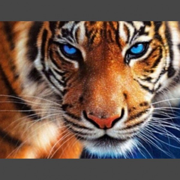 Tiger Diamond Painting Diamant Malerei 4SA15