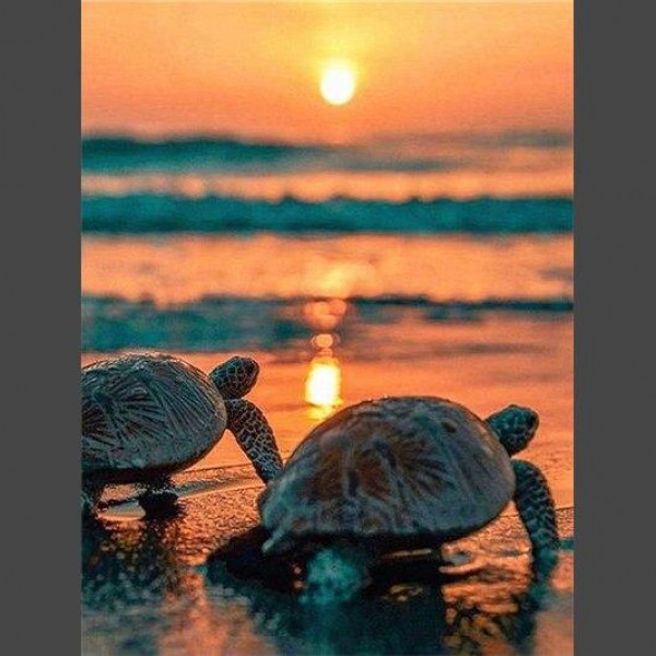 Schildkröten am Strand 1 Diamond Painting Diamant Malerei