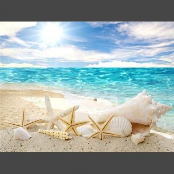 Seestern 8 Diamond Painting Diamant Malerei