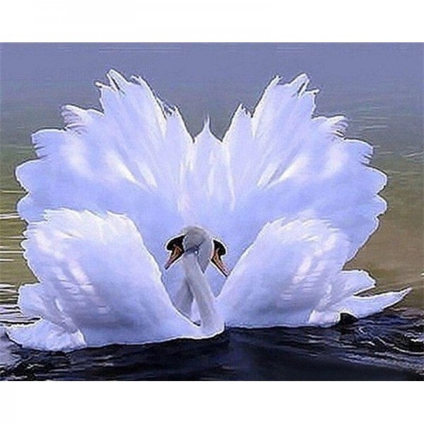 Schwan 5 Diamond Painting Diamant Malerei