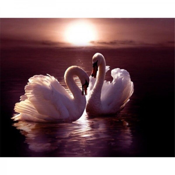 Schwan 7 Diamond Painting Diamant Malerei