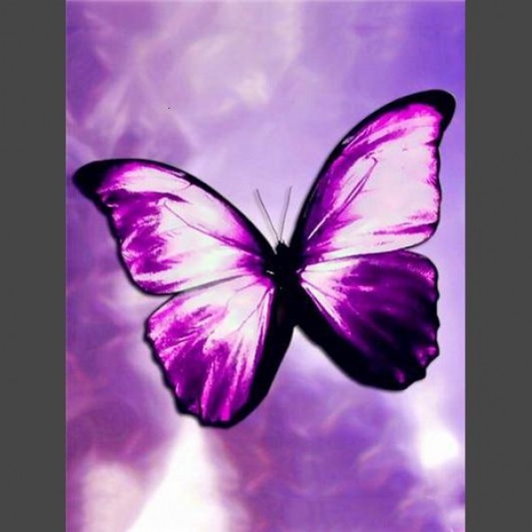 Schmetterling * 5 Diamond Painting Diamant Malerei
