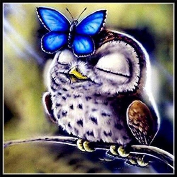 Eule mit Schmetterling Diamond Painting Diamant Malerei 4SA12