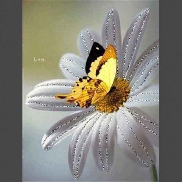 Schmetterling 10 Diamond Painting Diamant Malerei