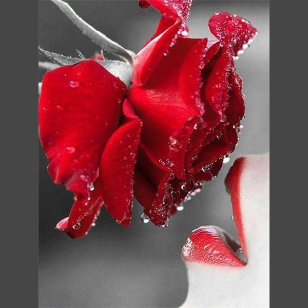 Rose 001 Diamond Painting Diamant Malerei