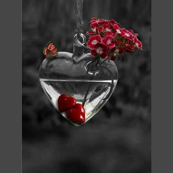 Schöne Rosen 6 Diamond Painting Diamant Malerei