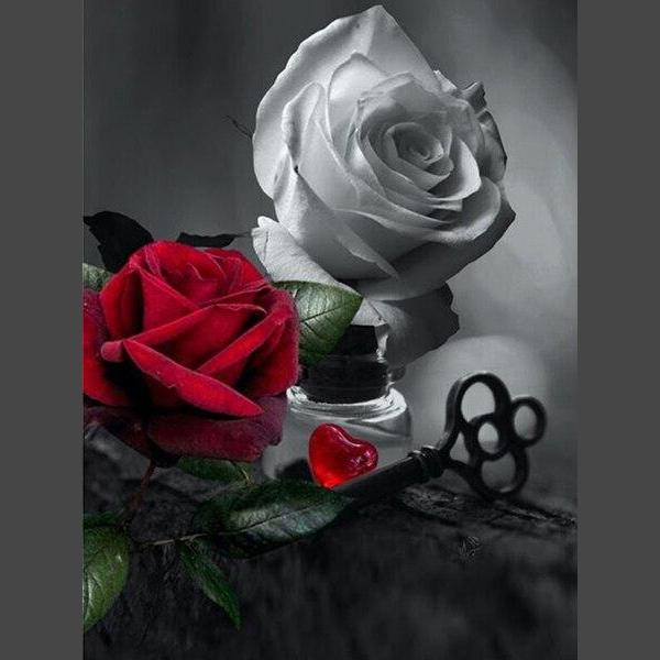 Schöne Rosen 5 Diamond Painting Diamant Malerei