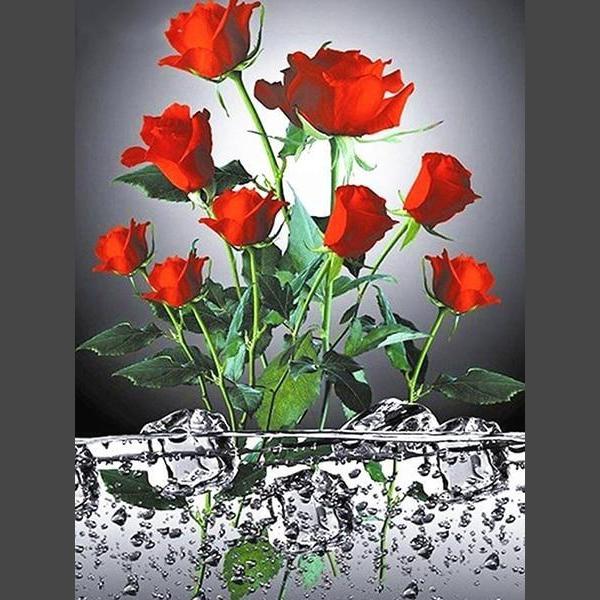 Schöne Rosen 9 Diamond Painting Diamant Malerei