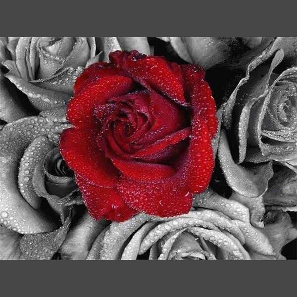 Rose 0001 Diamond Painting Diamant Malerei