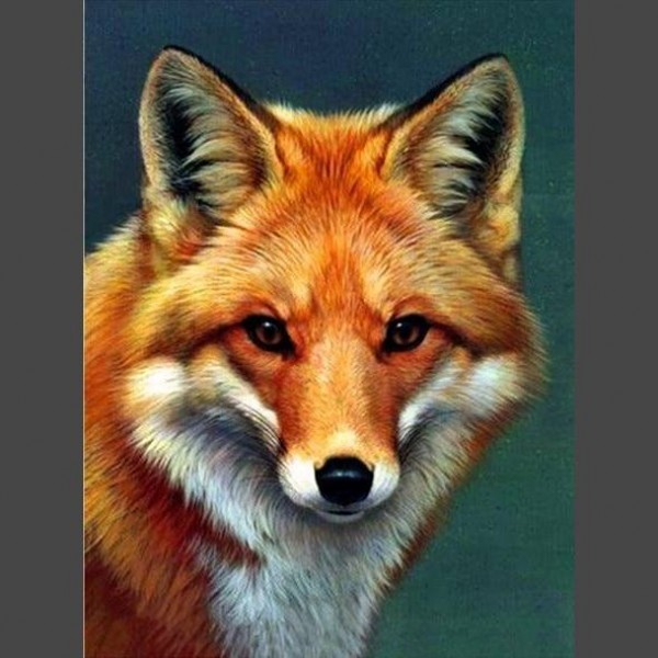 Fuchs Porträt 3 Diamond Painting Diamant Malerei
