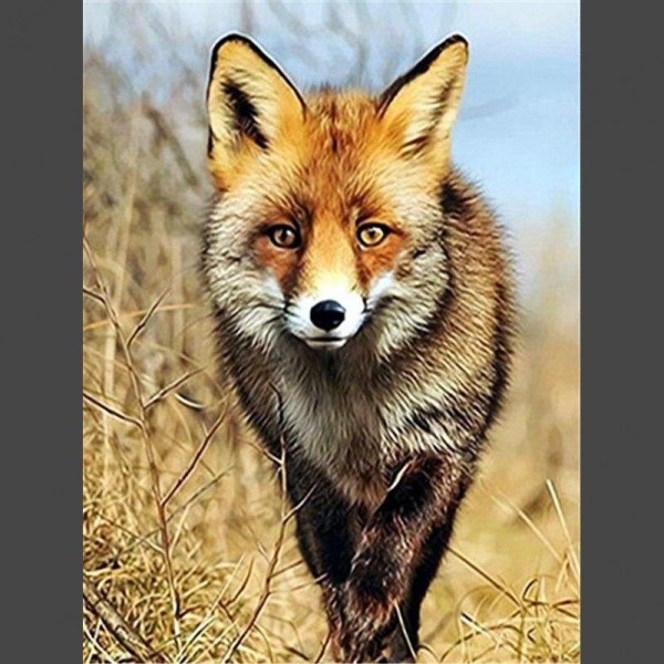 Fuchs Porträt 2 Diamond Painting Diamant Malerei
