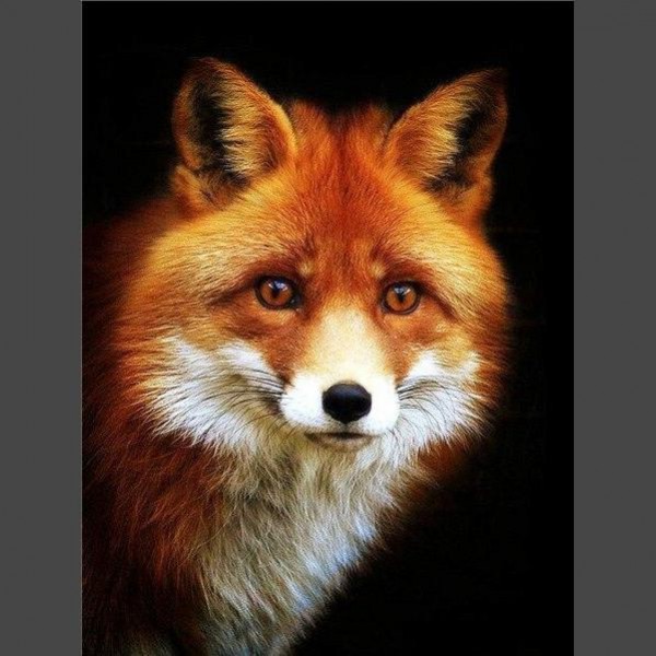 Porträt Fuchs Diamond Painting Diamant Malerei