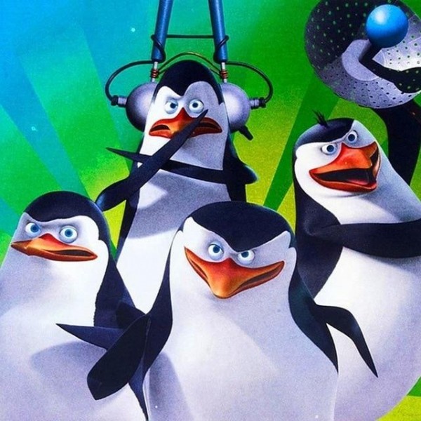 Pinguine 11 Diamond Painting Diamant Malerei