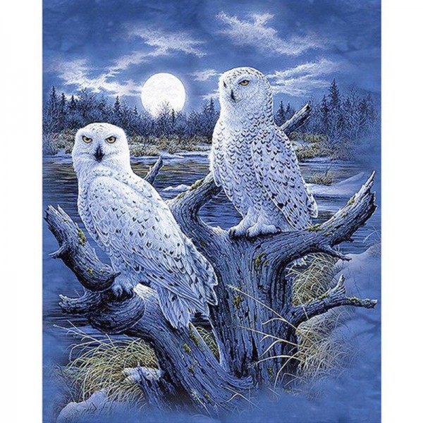Eule mit Mond im Hintergrund Diamond Painting Diamant Malerei