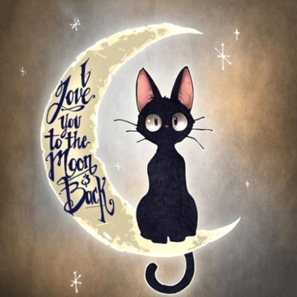 Mond mit Katze Diamond Painting Diamant Malerei