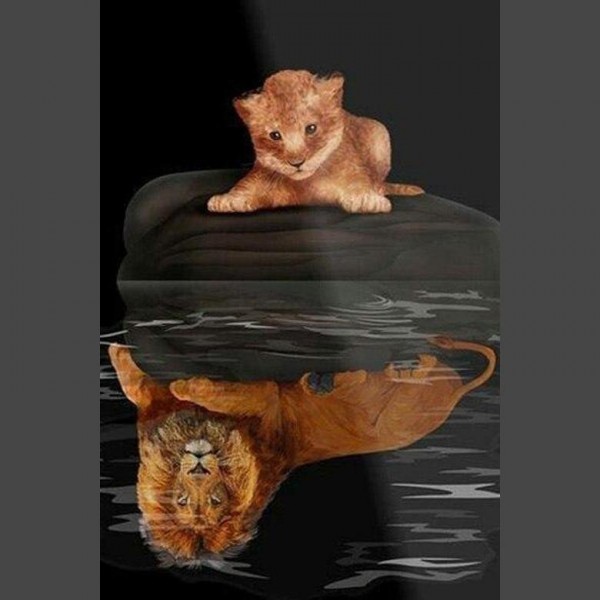 Löwen Baby Diamond Painting Diamant Malerei 4SA11