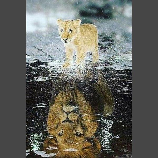Löwe Diamond Painting Diamant Malerei 4SA13