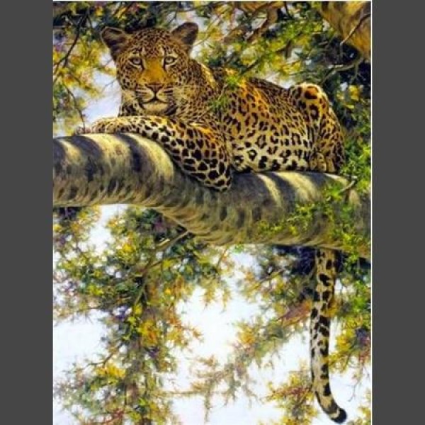 Leopard - 9 Diamond Painting Diamant Malerei