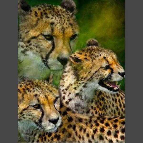 Leopard - 10 Diamond Painting Diamant Malerei