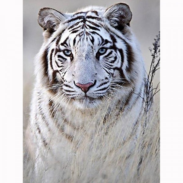 Bengal Tiger Diamond Painting Diamant Malerei