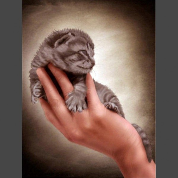 Süsse Katze 6 Diamond Painting Diamant Malerei