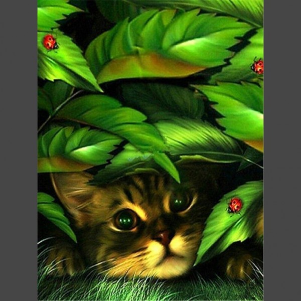 Süsse Katze 2 Diamond Painting Diamant Malerei