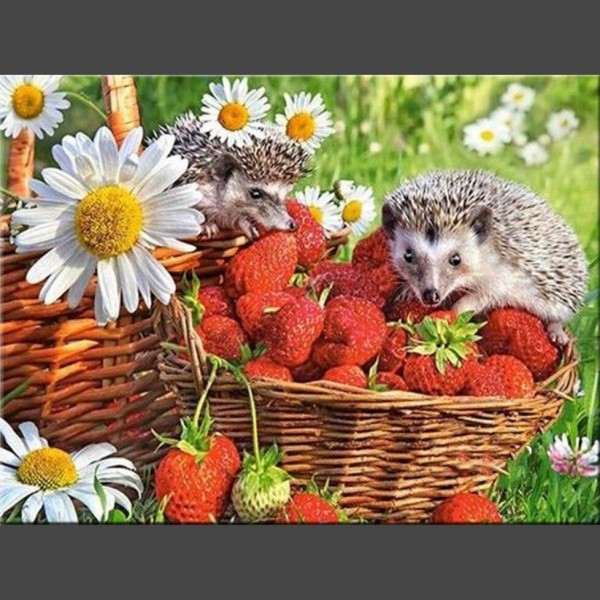 Igel 7 Diamond Painting Diamant Malerei