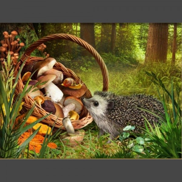 Igel 9 Diamond Painting Diamant Malerei