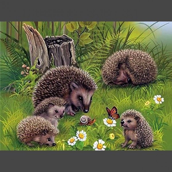 Igel 8 Diamond Painting Diamant Malerei