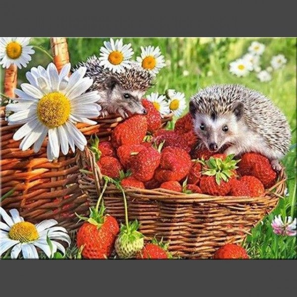 Igel 6 Diamond Painting Diamant Malerei