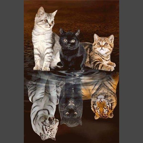Katze Diamond Painting Diamant Malerei 4SA1