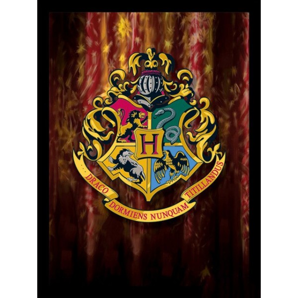 Harry Potter logo version2 18 Diamond Painting