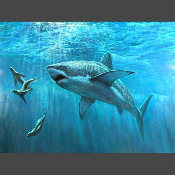 Hai - 4 Diamond Painting Diamant Malerei
