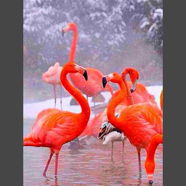 Flamingo 2 Diamond Painting Diamant Malerei
