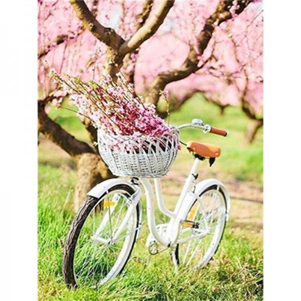 Fahrrad 20 Diamond Painting Diamant Malerei