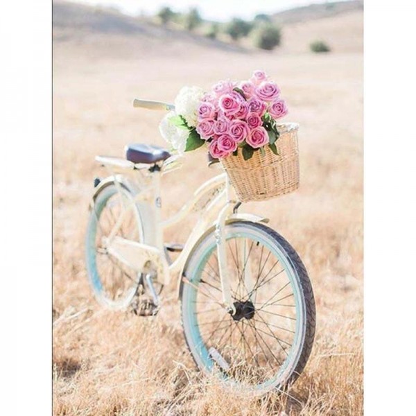 Fahrrad 9 Diamond Painting Diamant Malerei