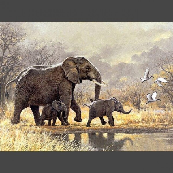 Elefant 13 Diamond Painting Diamant Malerei