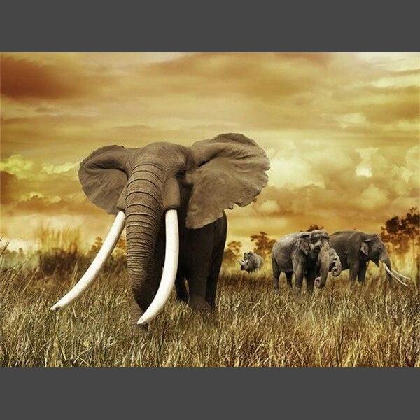 Elefant 12 Diamond Painting Diamant Malerei