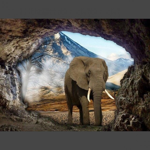 Elefant 9 Diamond Painting Diamant Malerei