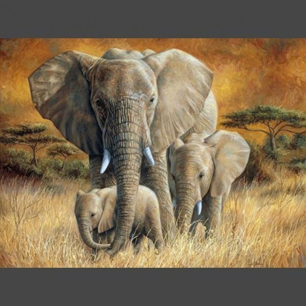 Elefant 14 Diamond Painting Diamant Malerei
