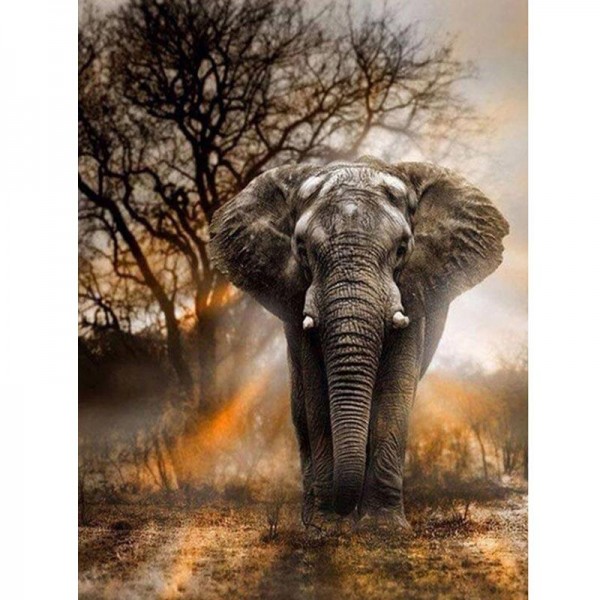 Elefant 3 Diamond Painting Diamant Malerei