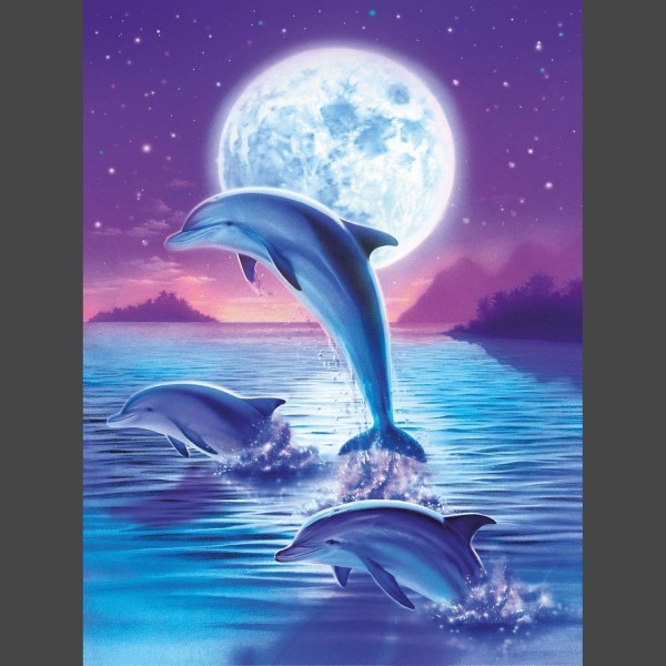 Delfine 7 Diamond Painting Diamant Malerei
