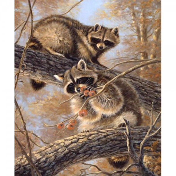 Waschbären auf dem Baum Diamond Painting Diamant Malerei
