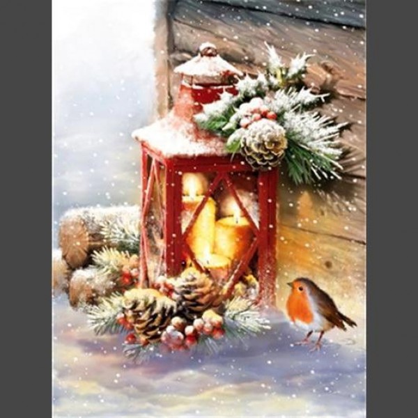 Vogel Schnee 7 Diamond Painting Diamant Malerei