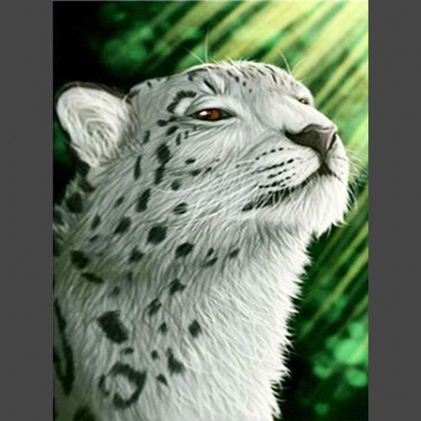 Leopard - 17 Diamond Painting Diamant Malerei