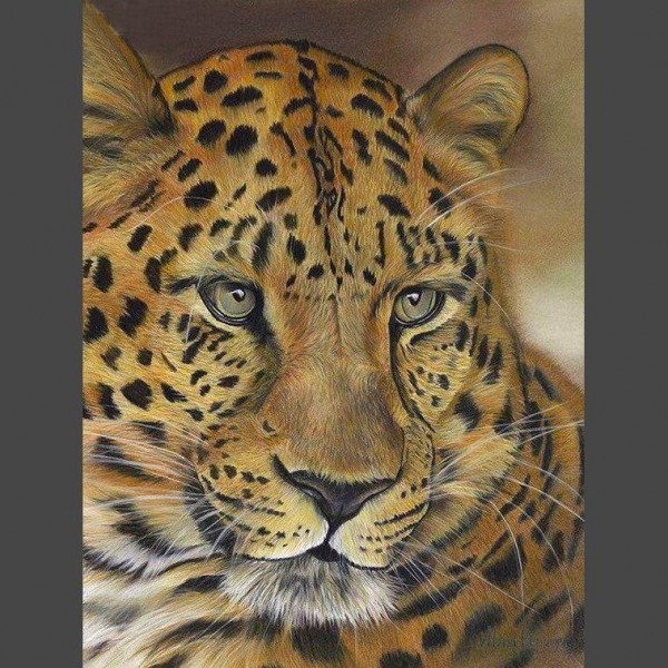 Leopard - 1 Diamond Painting Diamant Malerei