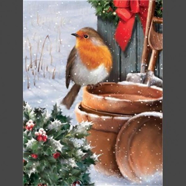 Vogel Schnee 10 Diamond Painting Diamant Malerei