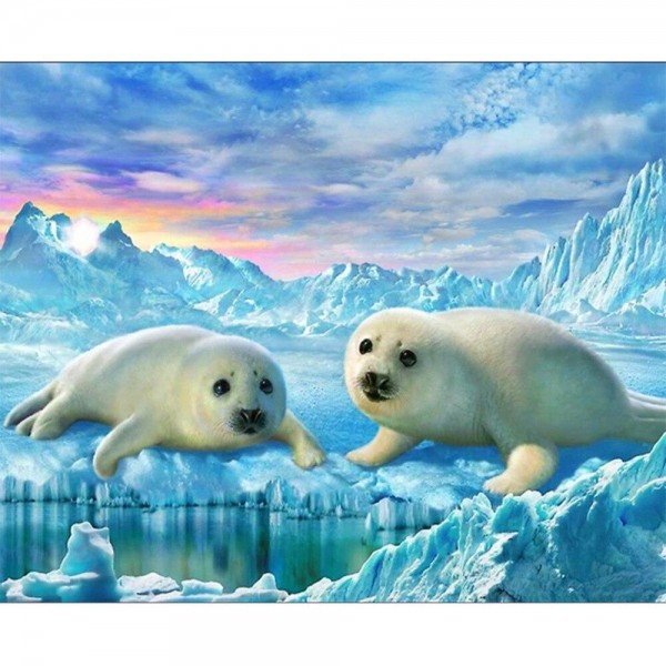 Seehund 2 Diamond Painting Diamant Malerei
