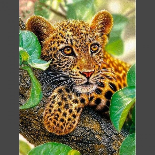 Leopard - 4 Diamond Painting Diamant Malerei